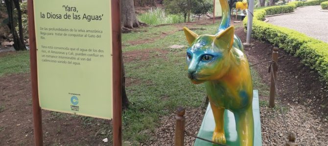 Cali: El Gato del Río, panorama gratis